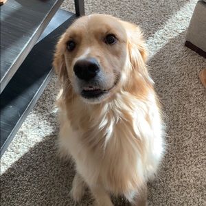 Meet your Posher, Bryan